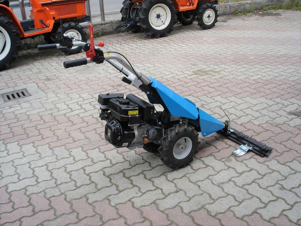 Bertolini 110 - MOTORE EMAK BENZINA Photo 8