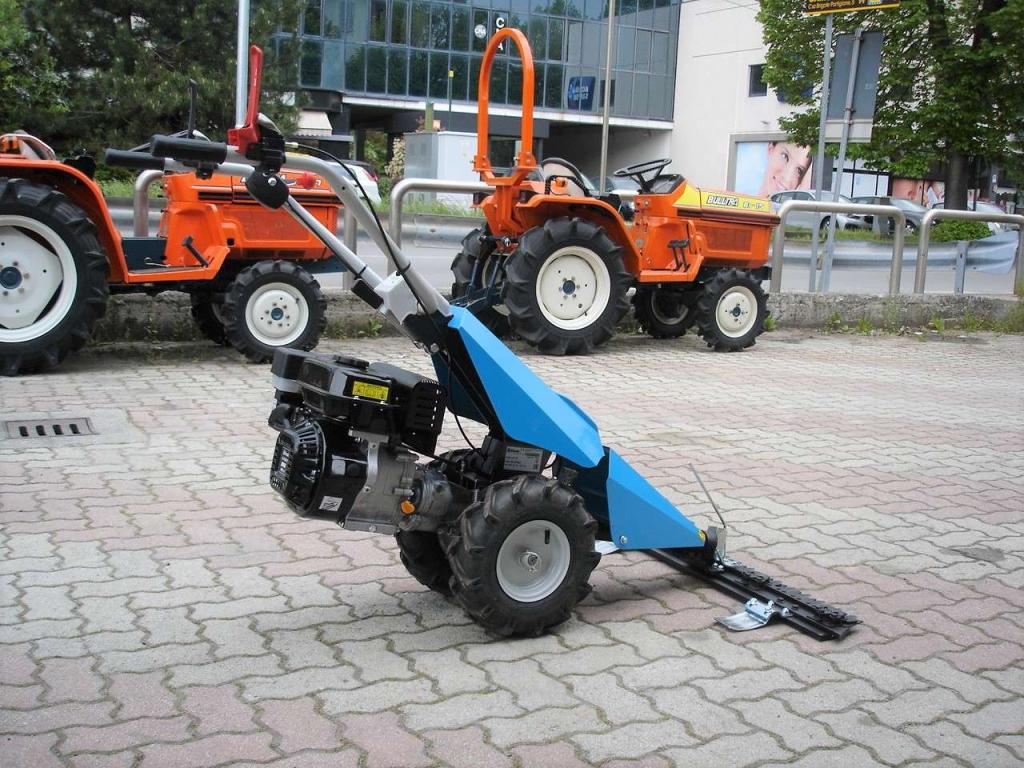 Bertolini 110 - MOTORE EMAK BENZINA Photo 9