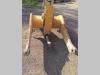 Arm for loaders for Caterpillar 953 C Photo 5 thumbnail