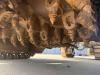 Wirtgen W100 CFI Photo 27 thumbnail