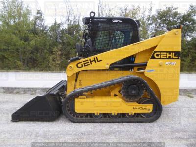 Gehl RT165 HF sold by Piccinini Macchine Srl
