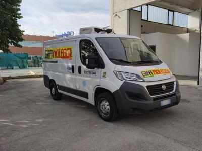 Fiat DUCATO sold by Giffi Noleggi srl