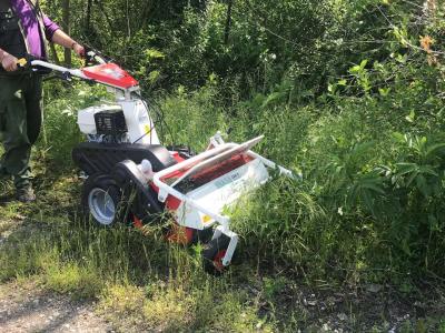 Tekna TT 65 - SUPER PROFESSIONALE - MOTORE HONDA GX 390 sold by Giordano Srl