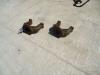 Idler wheel fork for Hitachi ZAXIS 350.3 Photo 1 thumbnail