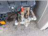 Man TGX 18.510 LLS +INTARDER +KIPHYDR. Photo 14 thumbnail