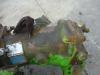 Hydraulic engine for Merlo GX097 A GRU Photo 2 thumbnail