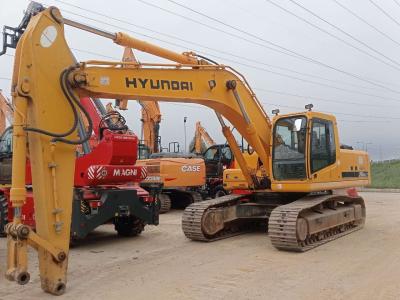 Hyundai Robex 290NLC-10 sold by Iveco Orecchia Spa