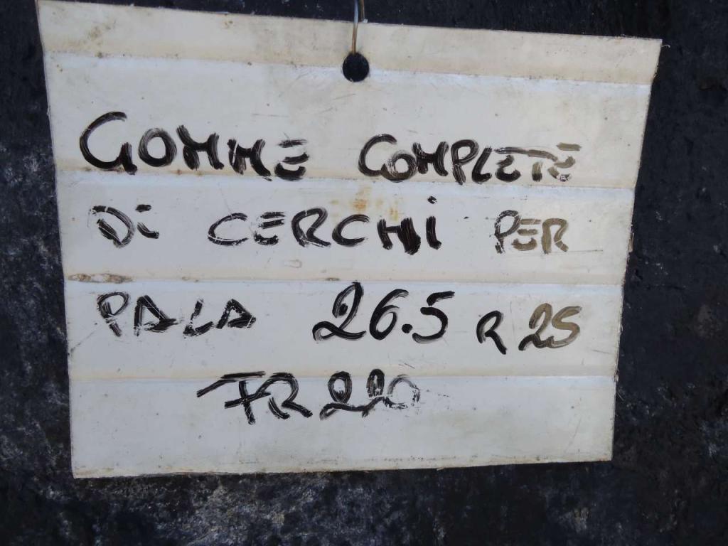 Tire for Fiat Hitachi FR220 Photo 3