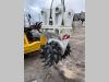 Simex TF1000 Photo 1 thumbnail