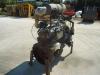 Internal combustion engine for Fiat Hitachi W130 - FIAT 8065.25 Photo 2 thumbnail