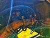 Fiat Hitachi FH200 Photo 11 thumbnail