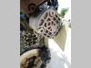 Servocontrol hydraulic pump for Hitachi LX170 Photo 1 thumbnail