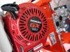 Tekna TT 300 DUMPER - MOTORE HONDA Photo 14 thumbnail