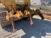 Fiat Allis FD 14 Photo 5 thumbnail