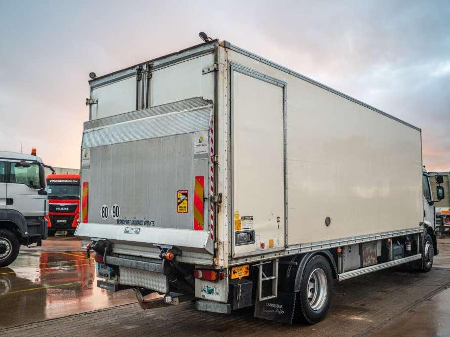 Renault PREMIUM 300DXI+POUSSIN/CHICKEN/KUIKEN/KÛKEN+DHOLLANDIA Photo 3
