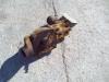 Engine water pump for Caterpillar 951C - MOTORE 3304 Photo 2 thumbnail