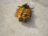 Hydraulic distributor for per Muletto Mecalac 8CXI Photo 1 thumbnail