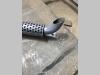Exhaust manifold Photo 3 thumbnail