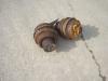 Carrier rollers for Komatsu D31S Photo 2 thumbnail