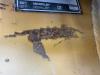 Caterpillar D5M-LGP Photo 15 thumbnail