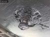 Schmitz SCB*S3T Sliding Roof Photo 29 thumbnail