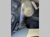 Iveco STRALIS 450 Photo 6 thumbnail