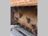 Simex PL5020 Photo 10 thumbnail