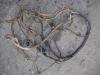 Wiring for Caterpillar Photo 1 thumbnail