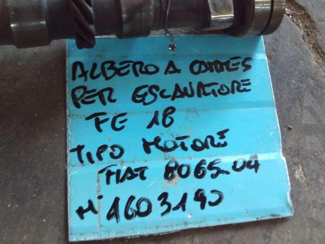 Camshaft for Fiat Allis FE18 - MOTORE FIAT 8065.04 - N. 4603190 Photo 4