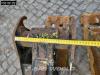 Volvo ECR50 F A/C - 3 Buckets Photo 25 thumbnail