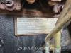 JCB 9TFT Photo 15 thumbnail