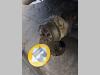 Volvo rollers 14545571 Photo 1 thumbnail