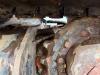 JCB 48Z-1 - Hammer Lines / Quick Coupler Photo 23 thumbnail