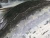 Schmitz SGF*S3 3 axles Lift Axle Cramaro Alcoa Photo 13 thumbnail