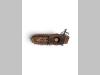 Chain trencher (equipment) Photo 3 thumbnail