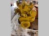 Caterpillar C6.4 Photo 3 thumbnail