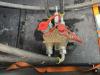 Atlas Copco QAS 150 VD Photo 23 thumbnail