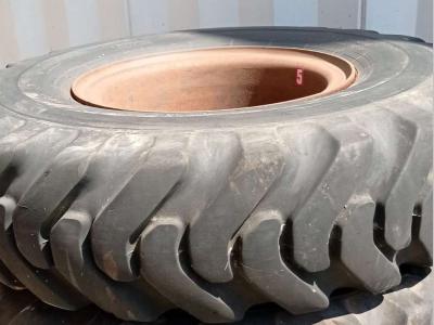 Pirelli FUORISTRADA 16.00-24 CON CERCHI sold by REDAGEST S.R.L.