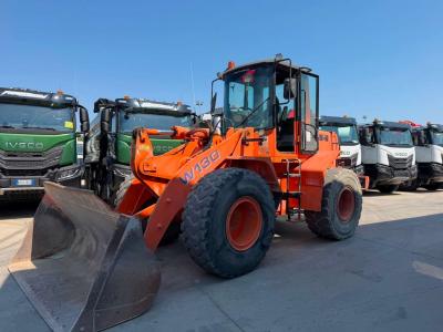 Fiat Hitachi W130A Photo 1