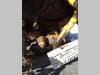 Transmission hydraulic pump for Fiat Allis FL10E Photo 3 thumbnail