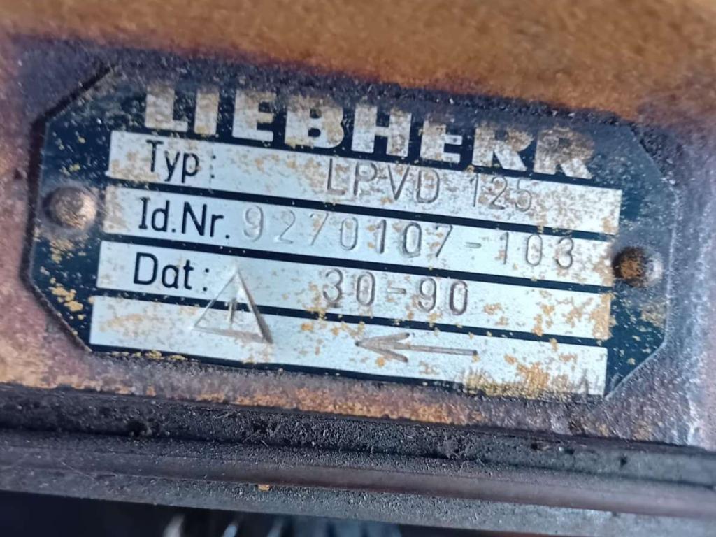 Liebherr LPVD 125 Photo 2