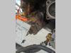 Transmission hydraulic pump for Fiat Allis FL9 Photo 2 thumbnail