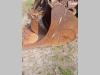 Baumaschinen Technik 1250 mm S2 for 25-32 ton excavators Photo 3 thumbnail