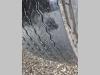 Man TGS 26.440 Photo 28 thumbnail