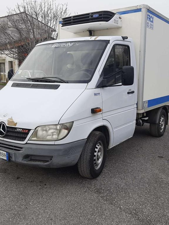 Mercedes-Benz 311 CDI Photo 1