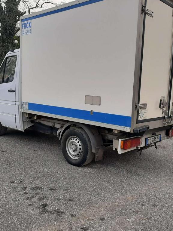 Mercedes-Benz 311 CDI Photo 3