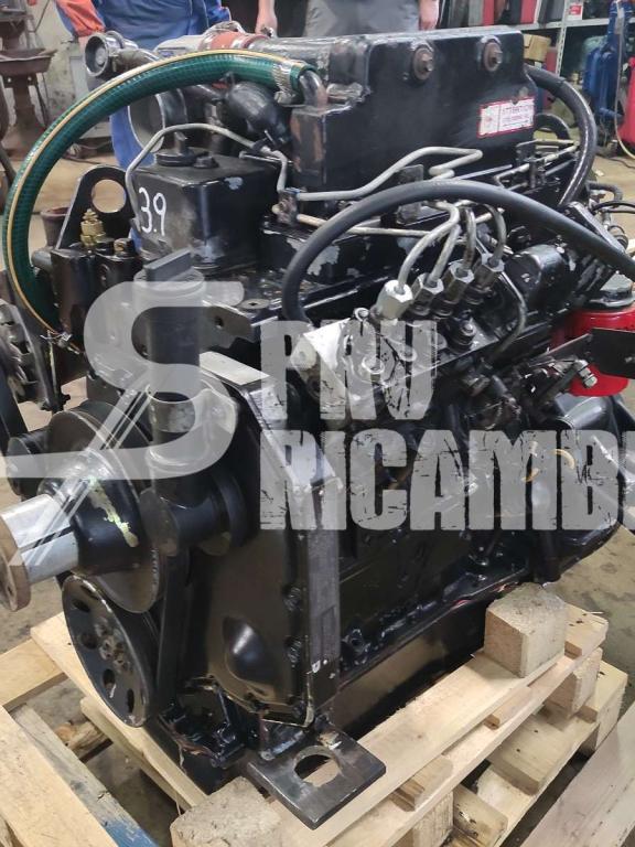 Internal combustion engine for Cummins B 3.9-C Photo 5