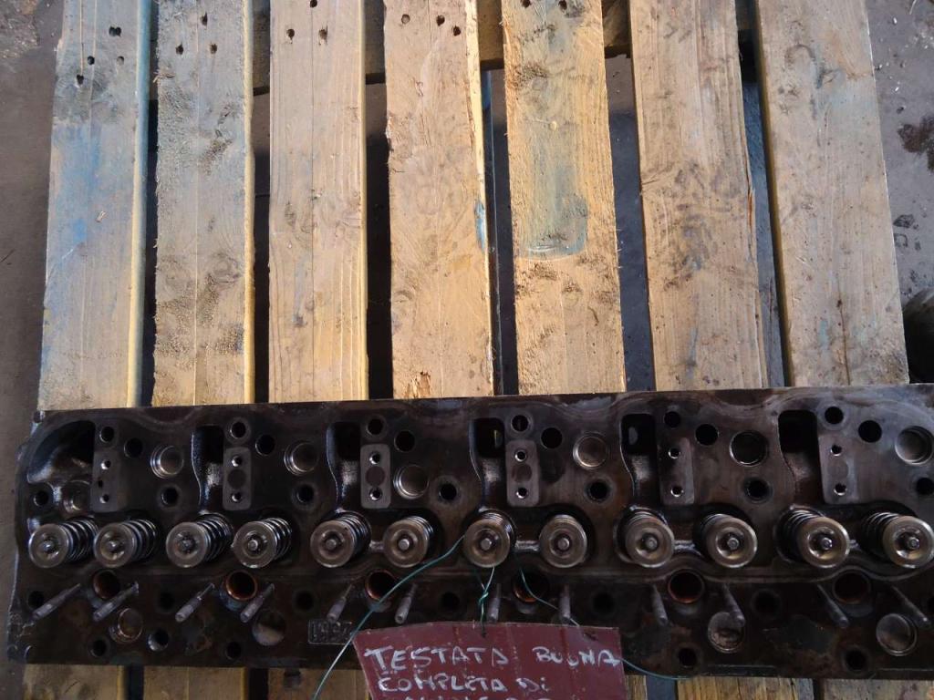 Cylinder head for Motore 8065.25 Photo 6