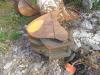 Volvo ECR88D Photo 6 thumbnail
