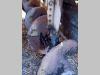 Marini MF691 Photo 5 thumbnail